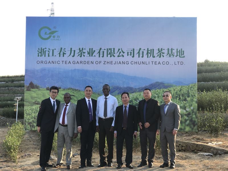 Egy új Tea Garden A Zhejiang Chunli Tea Co., Ltd Nyitva